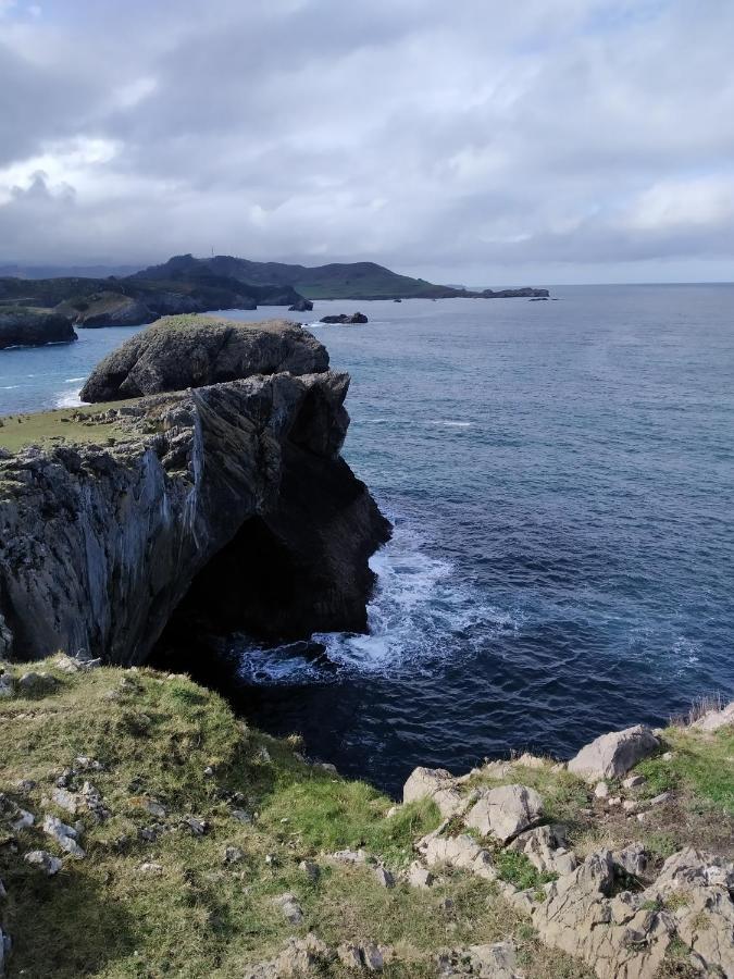 El Sauce De Amalia Celorio (Llanes)